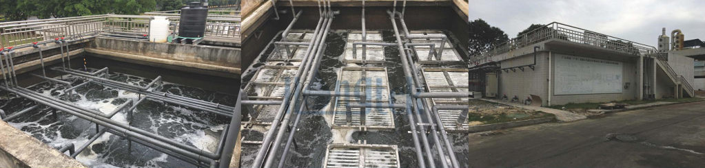 بف-مبر-وحدة.جبغ