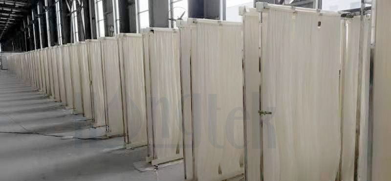 محمد بن راشد-صورة-1-شعار.جبغ