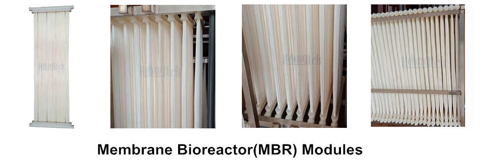 محمد بن راشد-صورة-2.جبغ