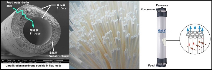 الاتحاد من أجل المتوسط 225.جبغ