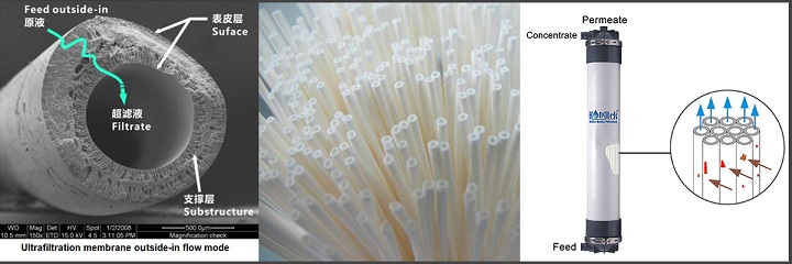 الاتحاد من أجل المتوسط 250.جبغ