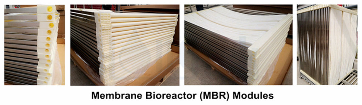 محمد بن راشد-صورة-تسويق-شعار.جبغ