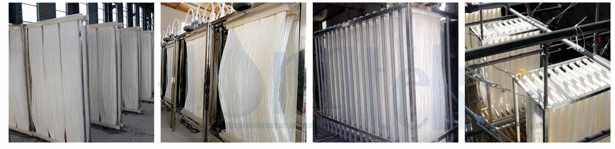 صورة-مبر-5-الشعار..جبغ