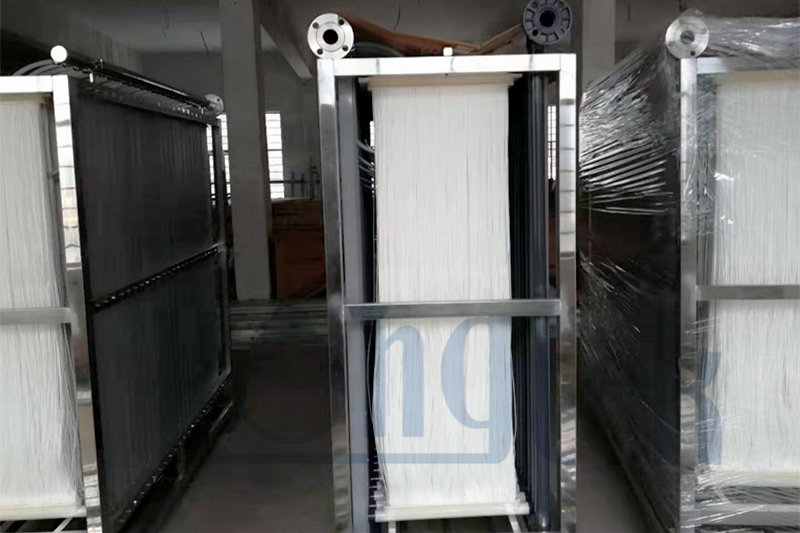 صورة-مبر-هونغتيك (2) _ لوغو.جبغ