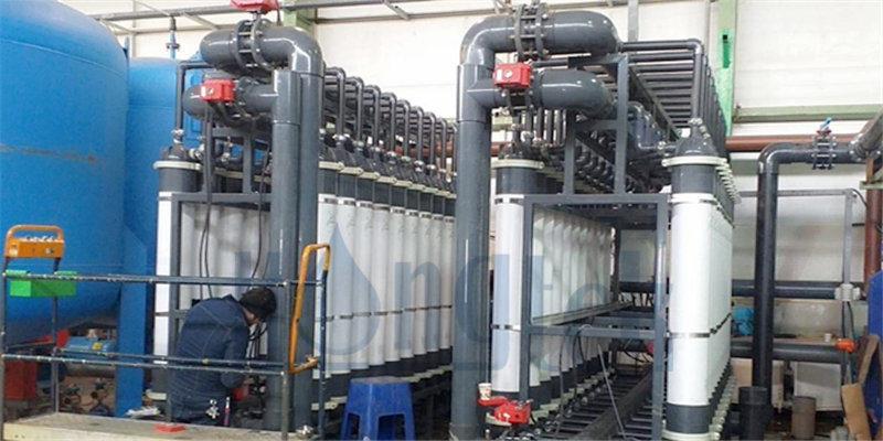 صورة-وف غشاء-هونغتيك-2.جبغ