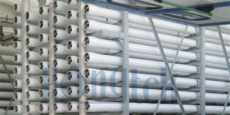 صورة-نف-لوغو.جبغ