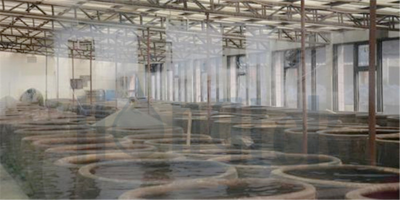 1-الشعار.جبغ