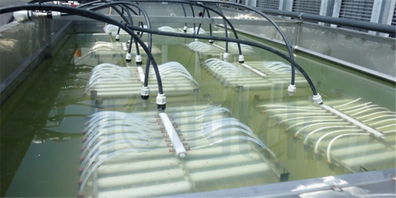 صورة-1_شعار.جبغ