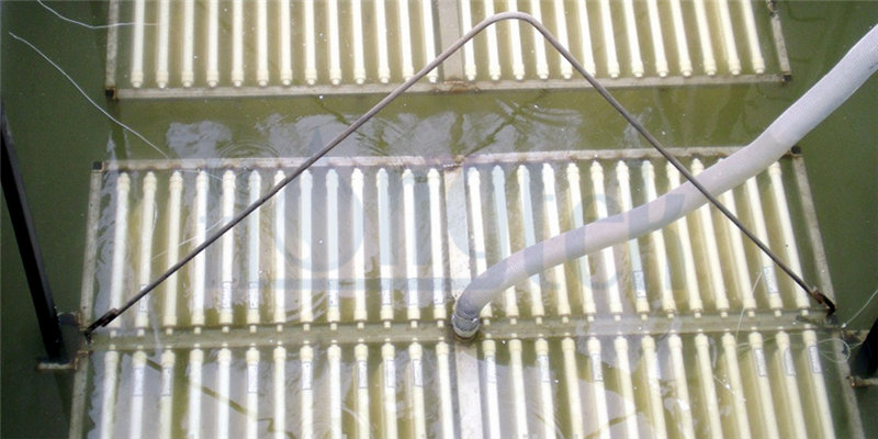 صورة-1-الشعار.جبغ