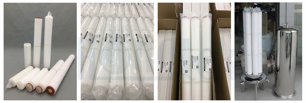 الحيوانات الأليفة-الغذاء-الترشيح-عملية-4.جبغ