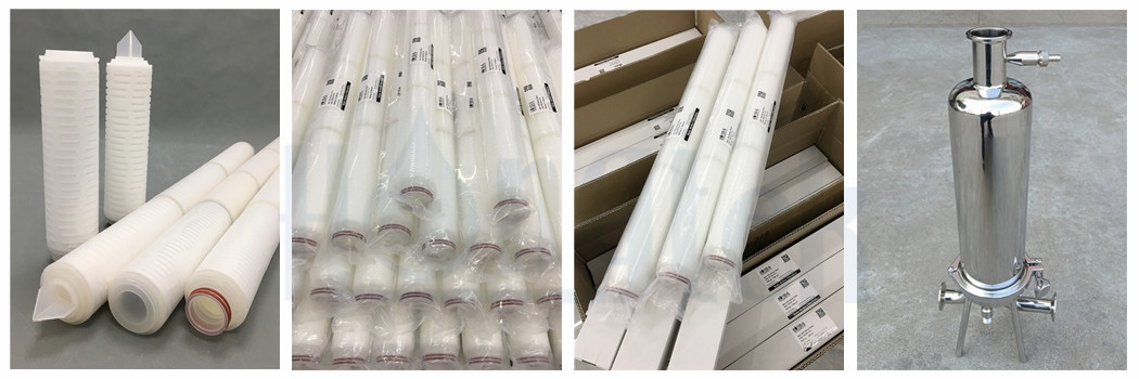 الحيوانات الأليفة-الغذاء-الترشيح-عملية-5.جبغ