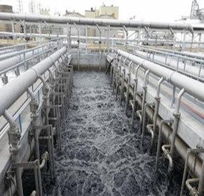 ما الذي يجب أن ننتبه إليه أثناء عملية محمد بن راشد?